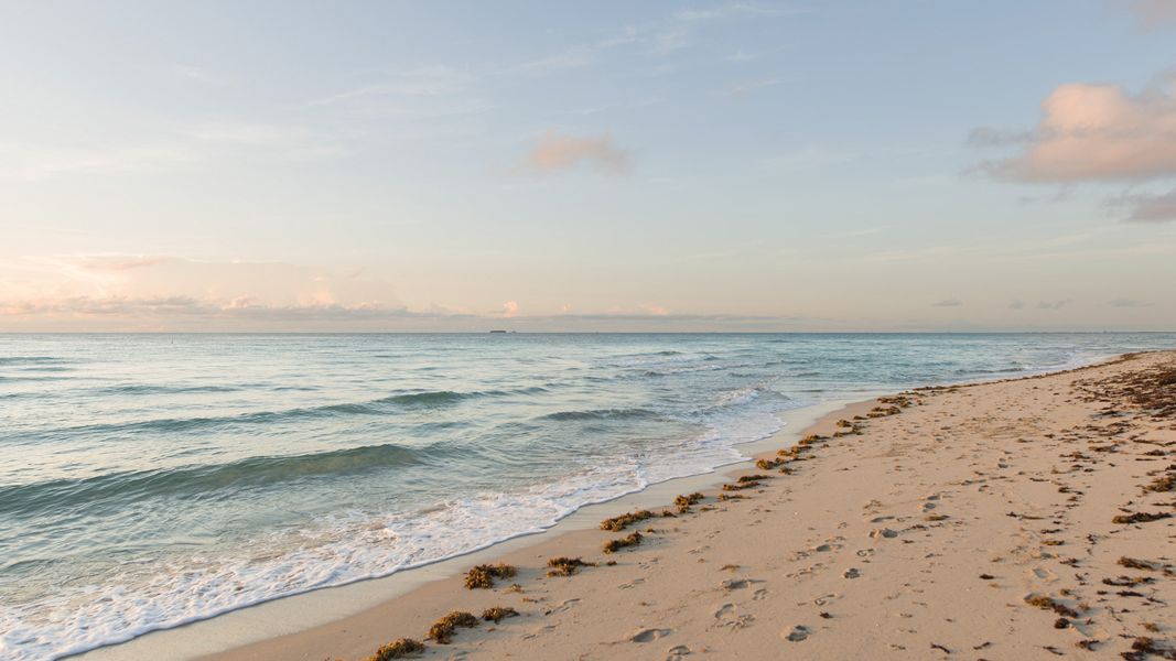 A serene beach scene with gentle waves, footprints in the sand, scattered seaweed, and a few clouds in the sky during what appears to be sunrise or sunset.