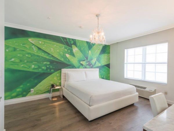 A modern bedroom with a large leaf mural on the wall, a white bed, chandelier, side tables, chair, window, and light-colored wooden flooring.