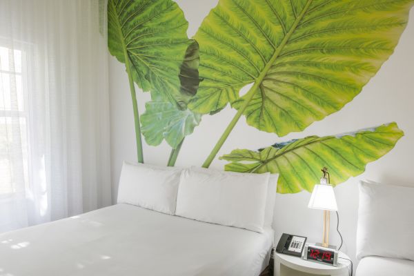 A bedroom with large green leaf wall art, white bedding, a nightstand with a lamp, phone, and clock, and a window with sheer curtains.