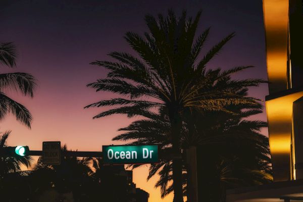 Street sign for Ocean Drive with palm trees silhouetted against a colorful sunset, building lights glowing on the right.