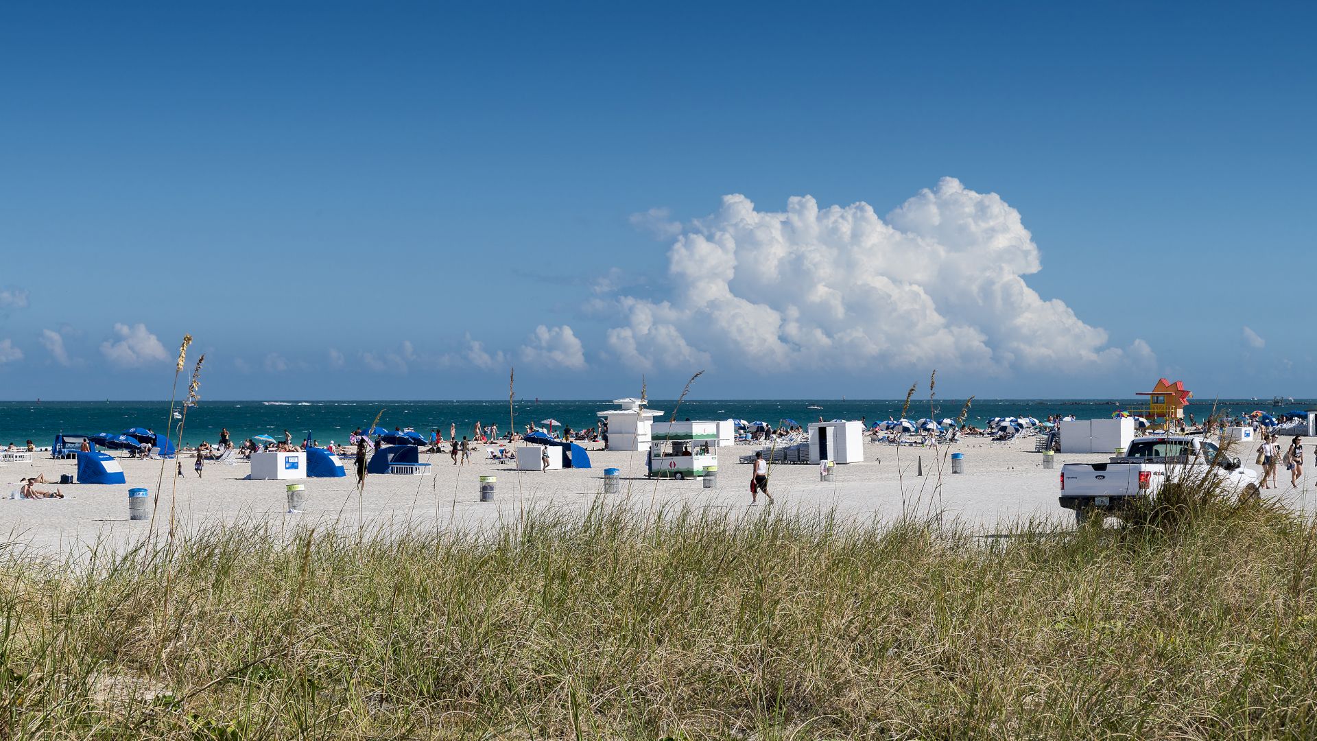A beach scene with people, blue cabanas, beach chairs, and a lifeguard stand, viewed from behind grass dunes with blue sky and clouds in the background.