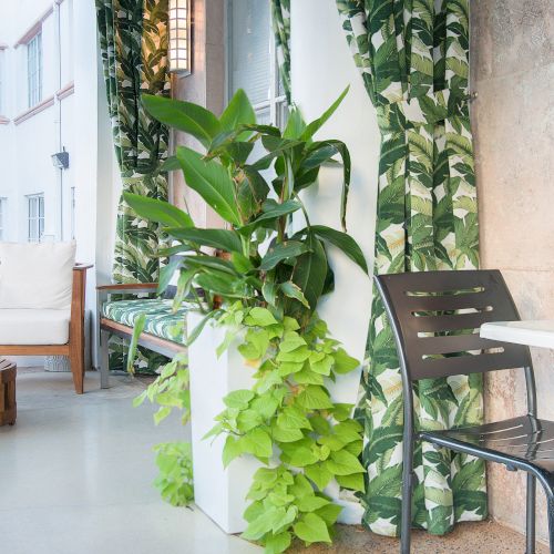 The image shows a seating area with chairs, a small table, lush green plants, and tropical-themed curtains, creating a relaxed, indoor-outdoor vibe.