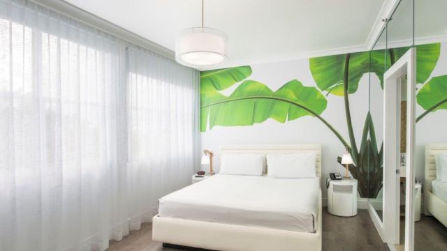 A white bed with two pillows is in front of a large window with sheer curtains and a tropical leaf mural on the wall.