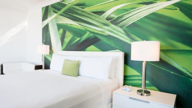 President Hotel South Beach — photo 14 of 60