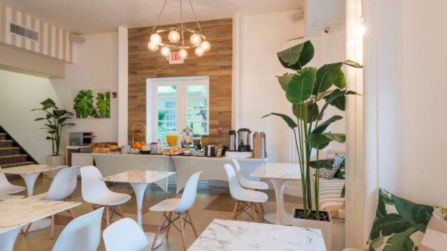 A bright and airy breakfast buffet area with white tables and chairs, a buffet spread, and plants