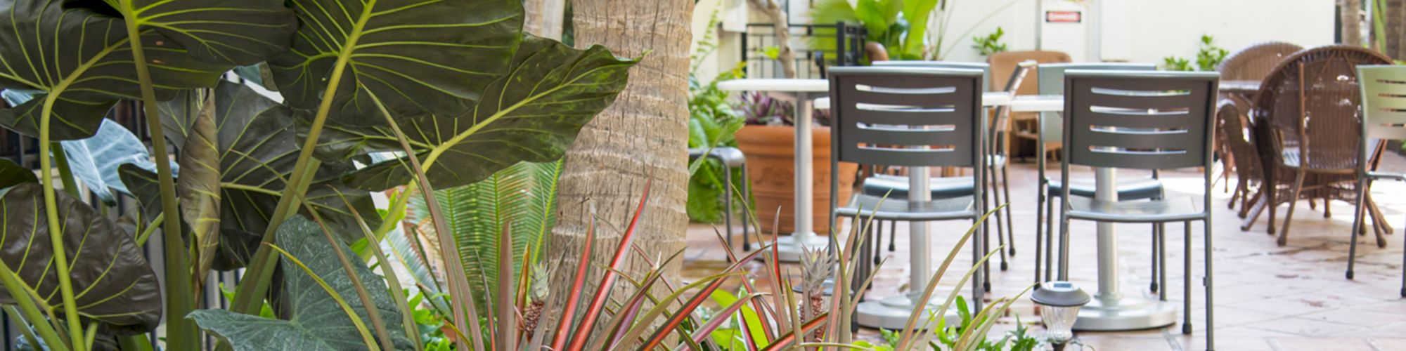 The image shows an outdoor seating area with plants, chairs, and tables on a tiled floor, providing a cozy, garden-like ambiance.