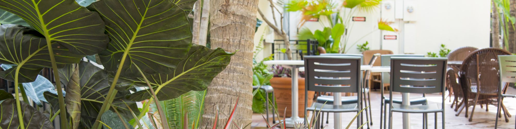 The image shows an outdoor patio area with vibrant green plants, chairs, and tables, creating a serene and inviting atmosphere for relaxation or dining.