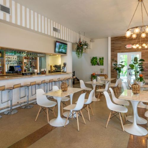 The image shows a modern cafe or bar with a neat interior, featuring white chairs, wooden tables, a long bar, and hanging plants.