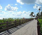 A sunny oceanfront boardwalk with palm trees, lush greenery, and a blue sky filled with fluffy clouds.