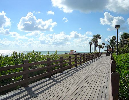 A sunny oceanfront boardwalk with palm trees, lush greenery, and a blue sky filled with fluffy clouds.