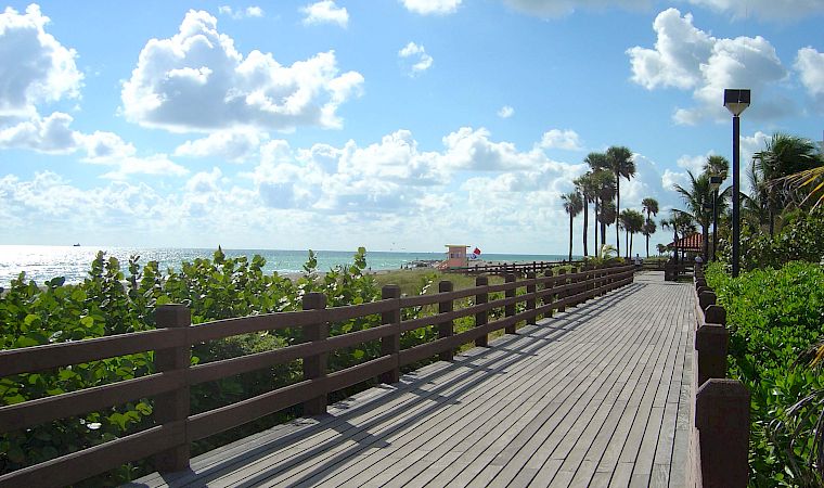 A sunny oceanfront boardwalk with palm trees, lush greenery, and a blue sky filled with fluffy clouds.